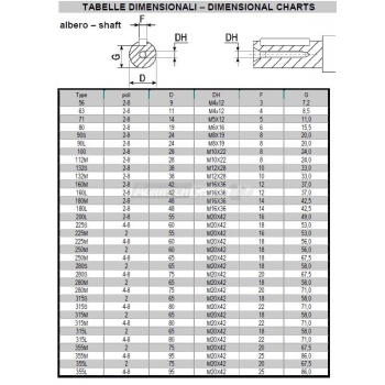 Motore elettrico monofase alluminio senza base con flangia  Agritech Store