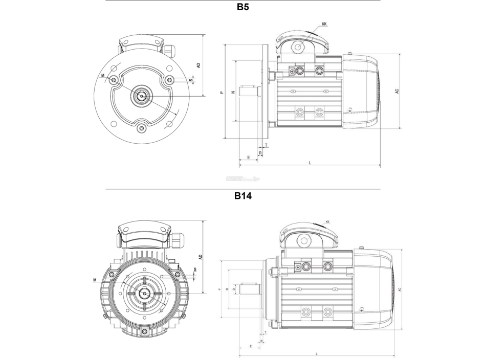 Motore elettrico trifase alluminio con base con flangia  Agritech Store