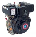 Motore Diesel Hailin HL 170 - HP  4,7