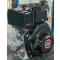 Motore Hailin diesel HP 9,6 HL 186-FA 