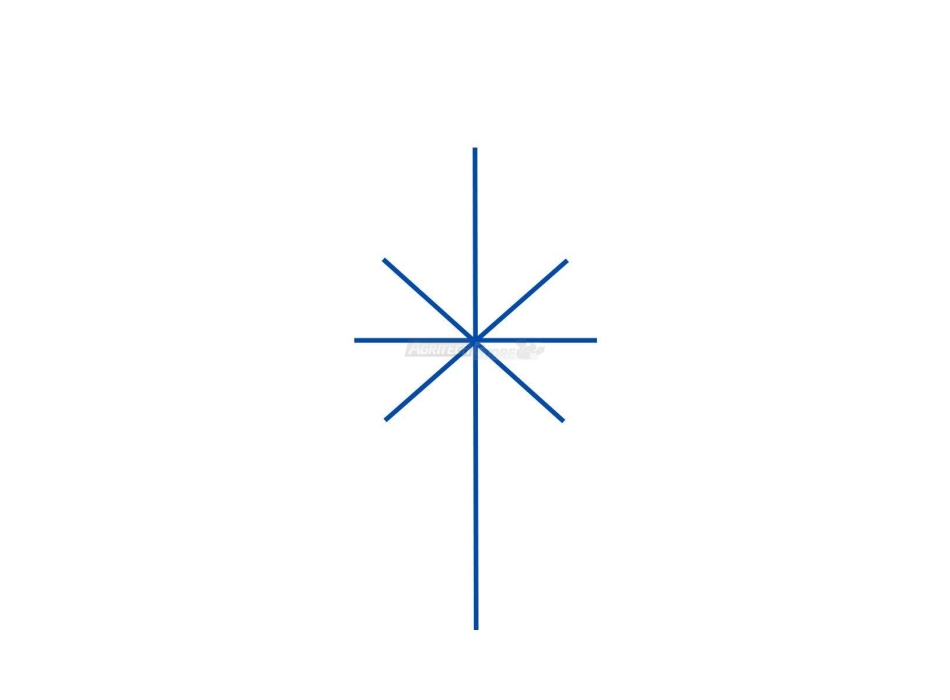 Optional Cuneo 11 - Continental 480 - mod. OPCONT2 Agritech Store