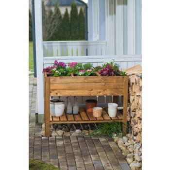 ORTO APPLE MEDIUM Agritech Store