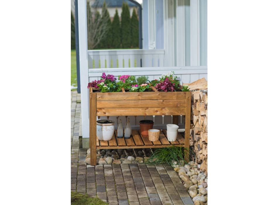 ORTO APPLE MEDIUM Agritech Store