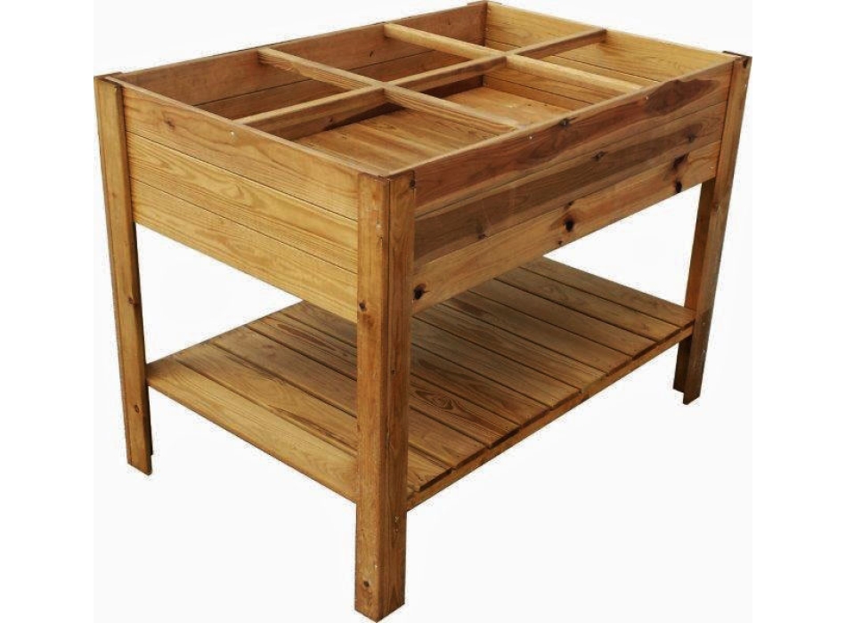 ORTO APPLE MEDIUM Agritech Store