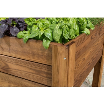 ORTO APPLE MEDIUM Agritech Store