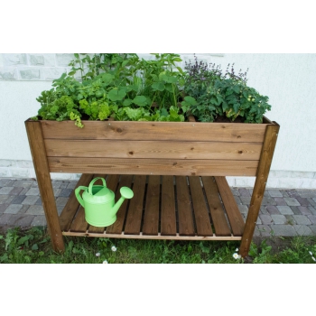 ORTO APPLE MEDIUM Agritech Store