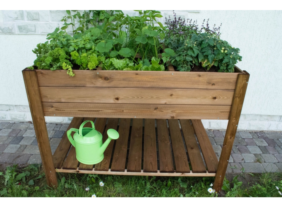 ORTO APPLE MEDIUM Agritech Store