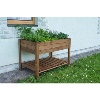 ORTO APPLE MEDIUM Agritech Store