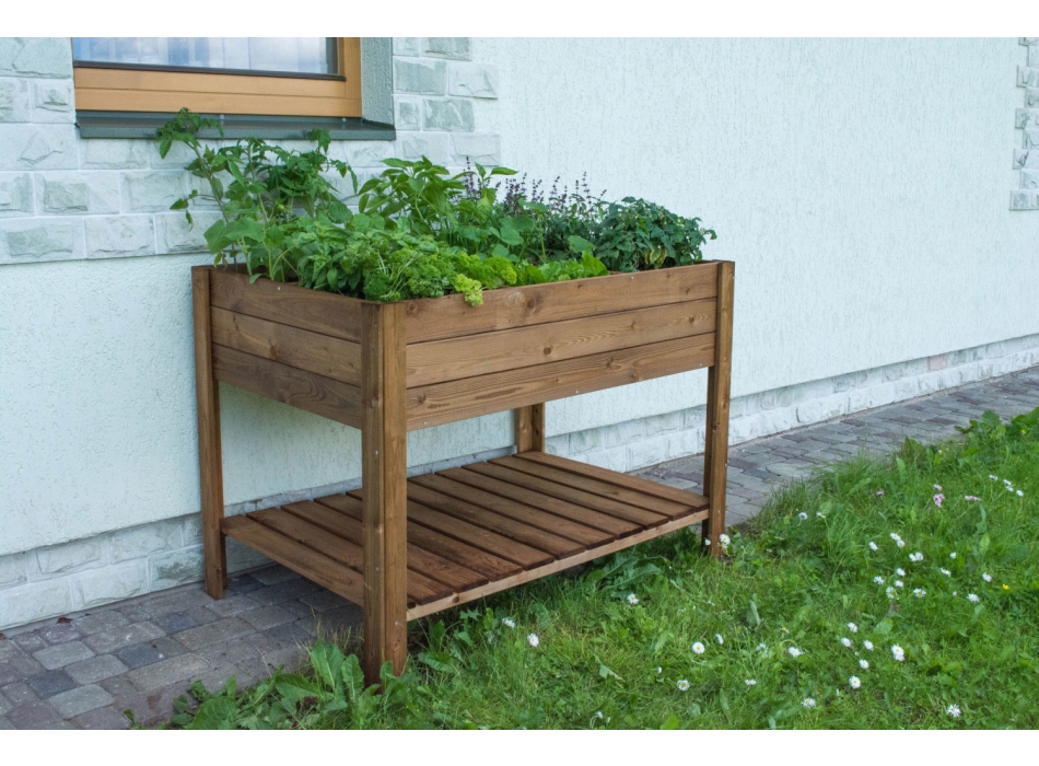 ORTO APPLE MEDIUM Agritech Store