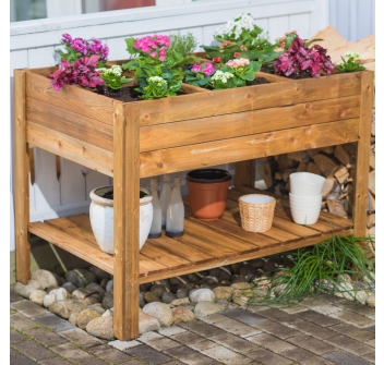 ORTO APPLE MEDIUM Agritech Store