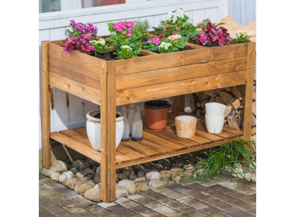 ORTO APPLE MEDIUM Agritech Store