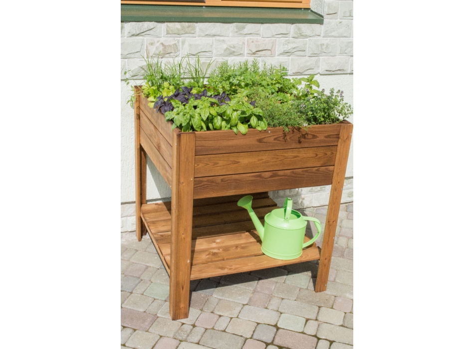 ORTO APPLE SMALL Agritech Store