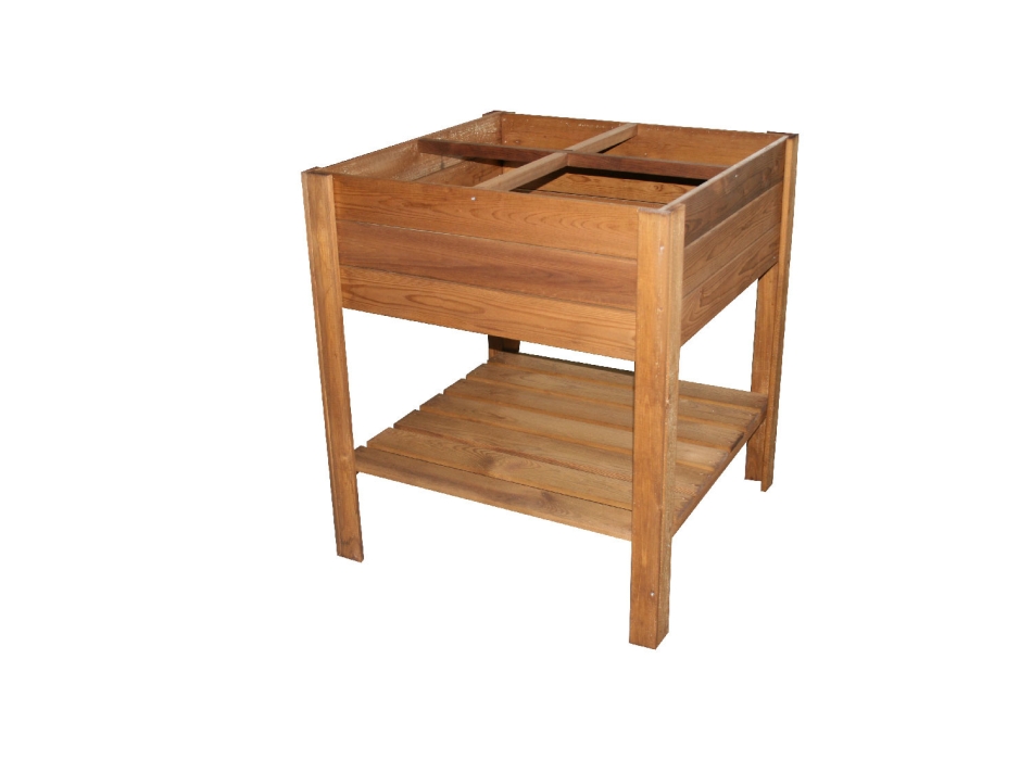 ORTO APPLE SMALL Agritech Store