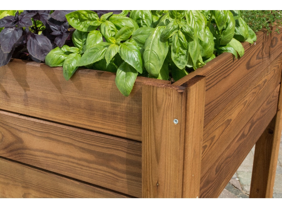 ORTO APPLE SMALL Agritech Store