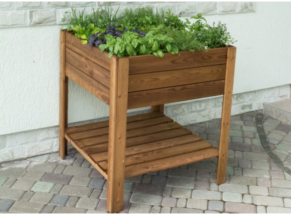 ORTO APPLE SMALL Agritech Store