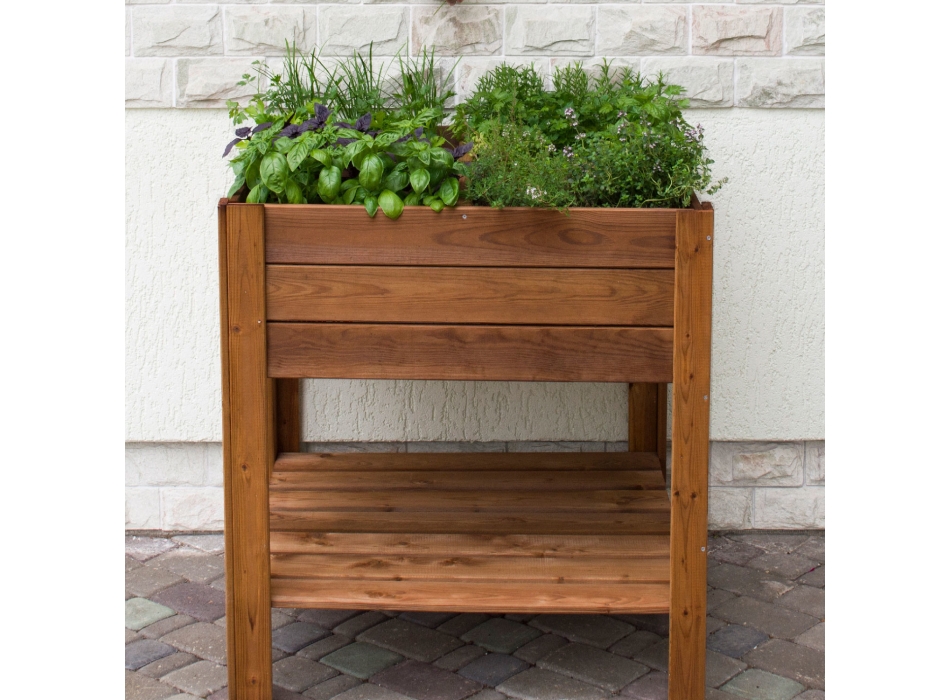 ORTO APPLE SMALL Agritech Store