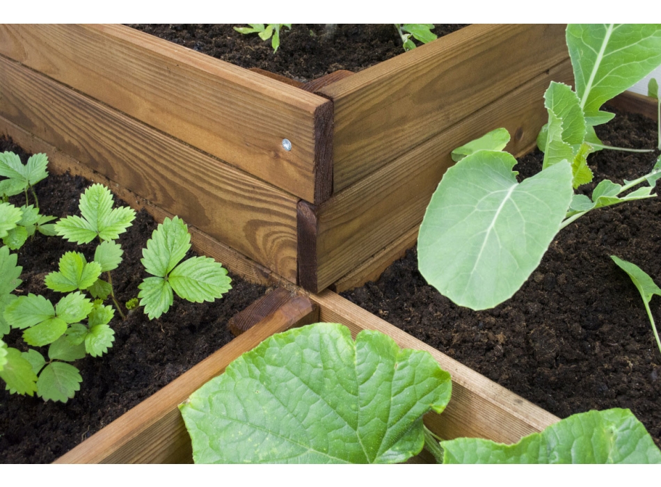 ORTO FOUR Agritech Store