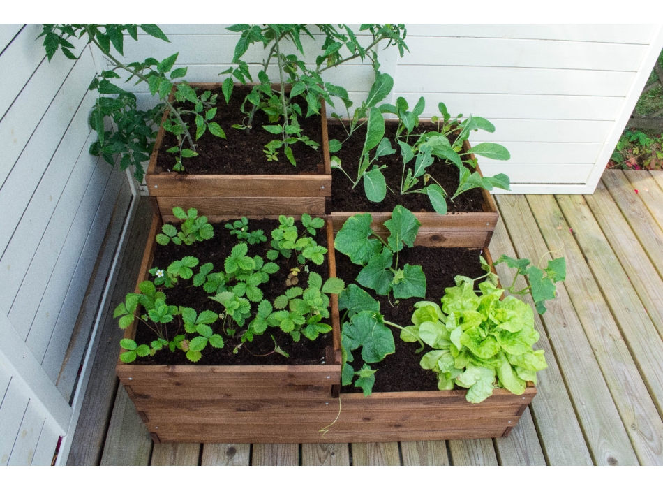 ORTO FOUR Agritech Store