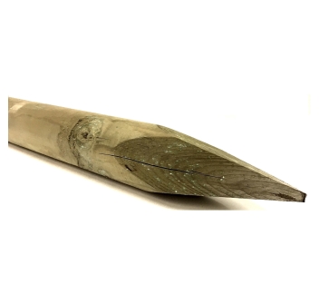 PALI IMPREGNATI DIAM. 06 LUNGH. CM.300 PUNTA Agritech Store