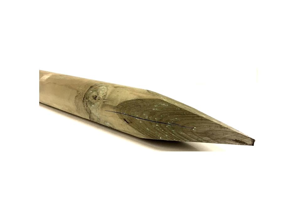 PALI IMPREGNATI DIAM. 10 LUNGH. CM.250 PUNTA Agritech Store