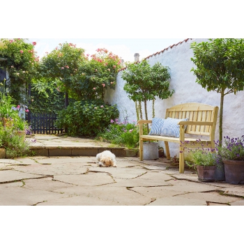 PANCA DELIA TRE POSTI Agritech Store