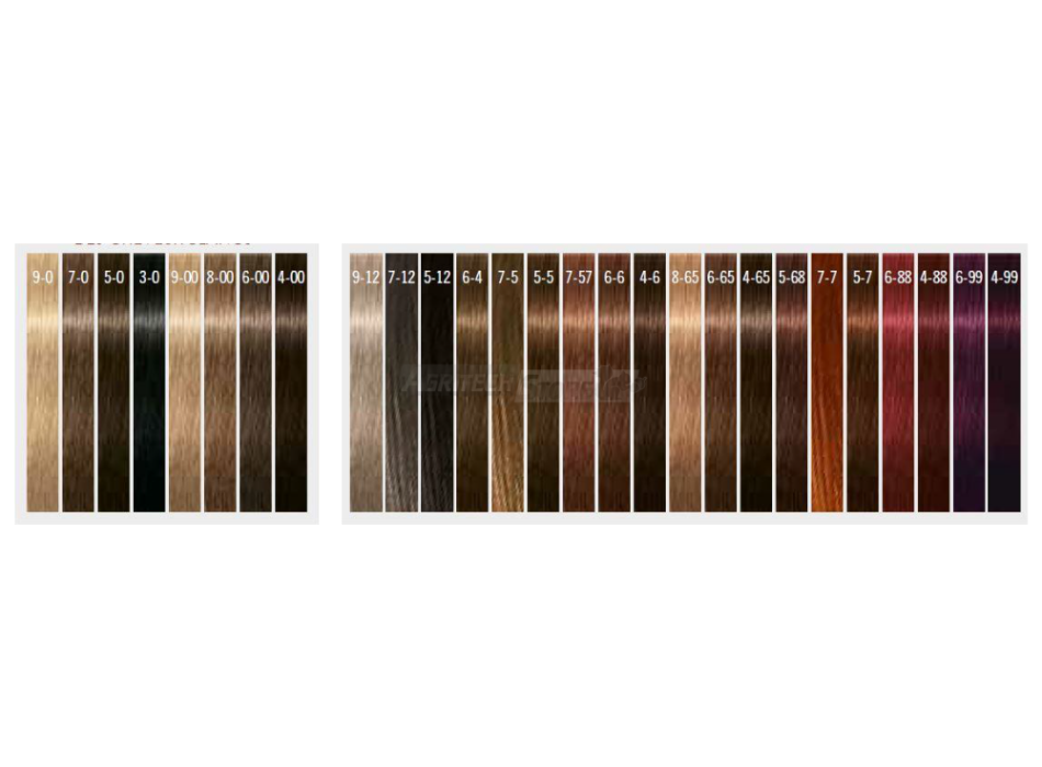 Schwarzkopf Igora Color10 - 60 ml  Agritech Store