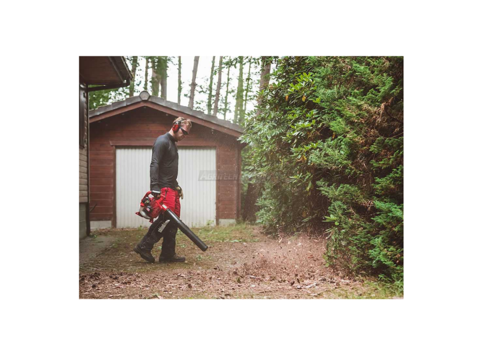 Shindaiwa EB252 - Soffiatore a scoppio motore 2 tempi Agritech Store