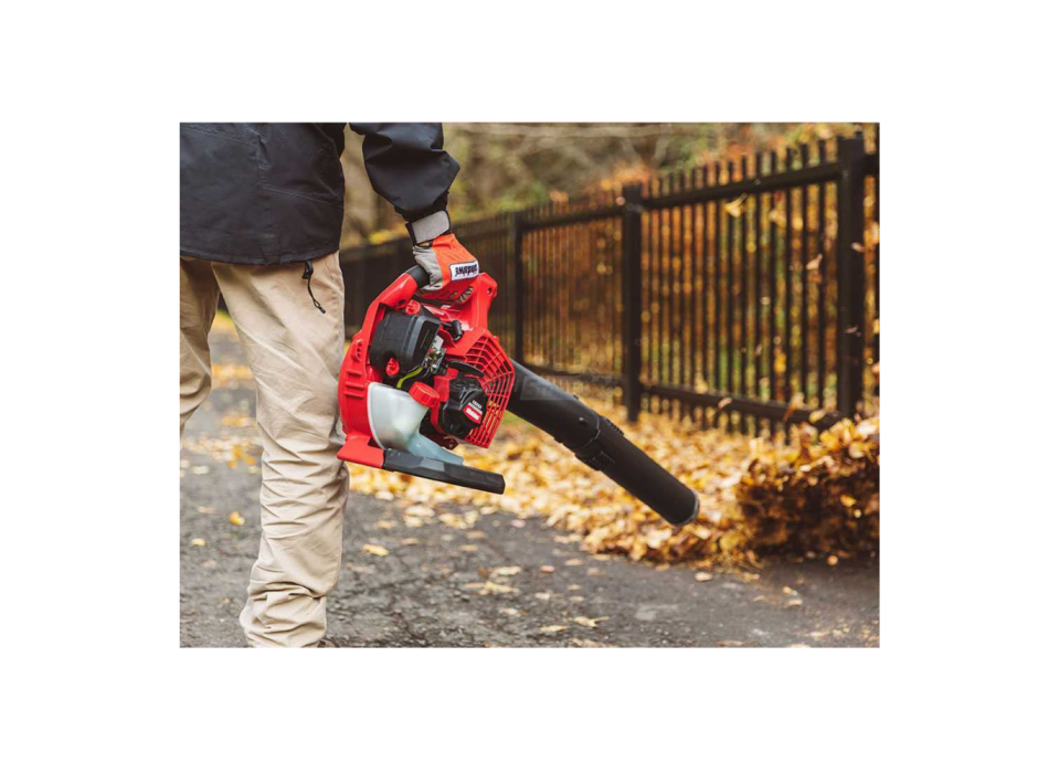 Shindaiwa EB262 - Soffiatore a scoppio motore 2 tempi Agritech Store