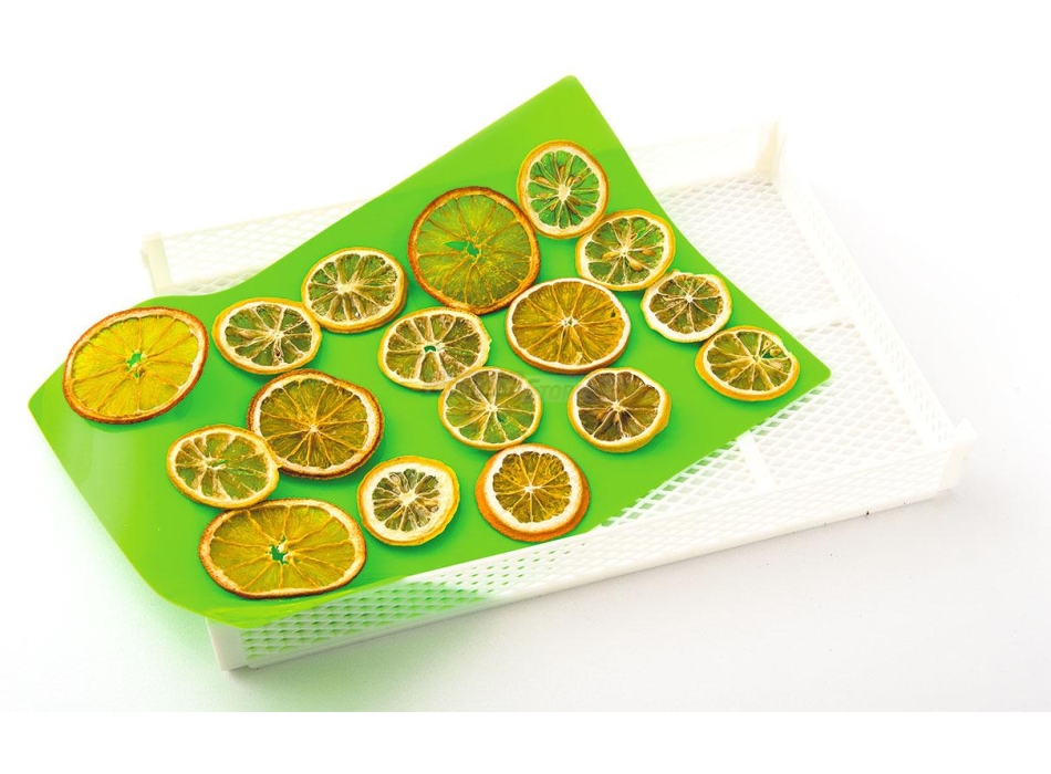 SiliDrop, vaschetta per essiccare preparati semiliquidi Agritech Store